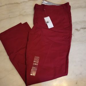 Men's Lacoste pants